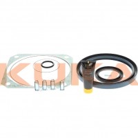 SPP input shaft sealing kit Quantec